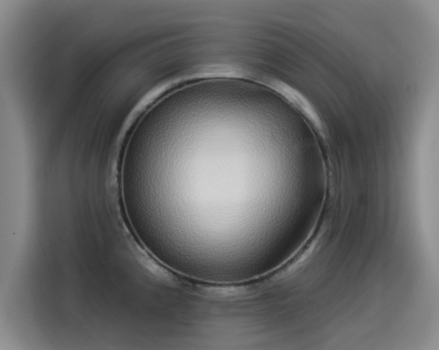 X0000114211192200910161241