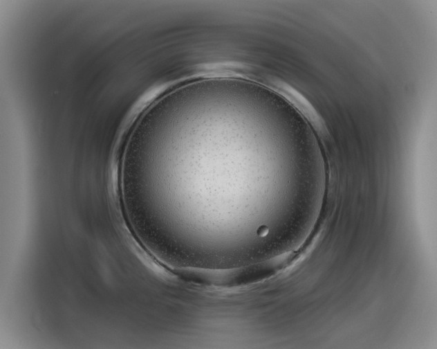 X0000114211196200910161241