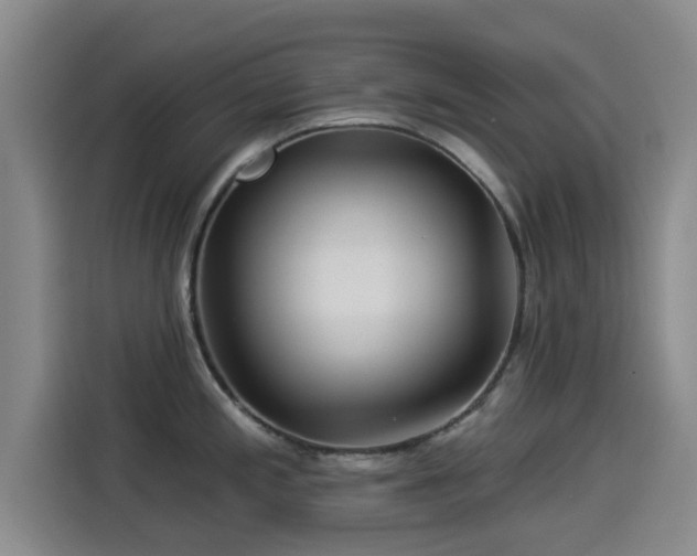X0000114211197200910161241