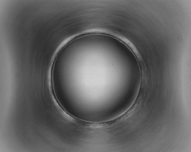 X0000114211199200910161241