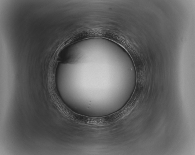 X0000114211201200910161240