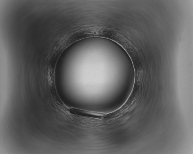 X0000114211202200910161240