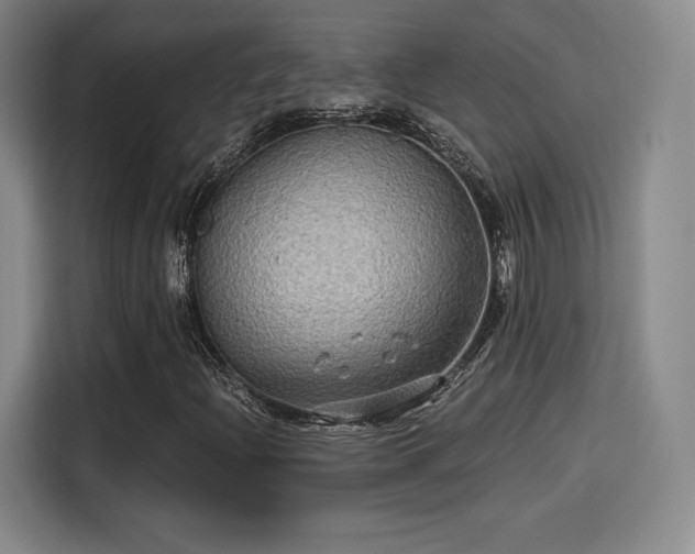 X0000114211204200910161240