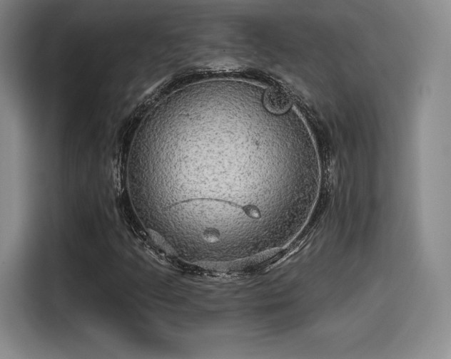 X0000114211205200910161240