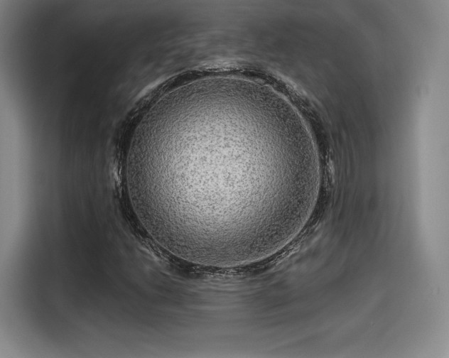 X0000114211206200910161240
