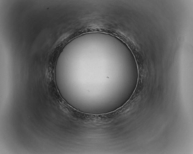 X0000114211207200910161240