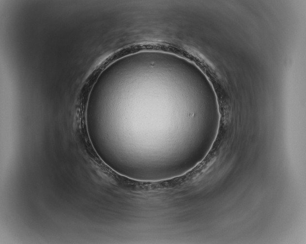 X0000114211208200910161240