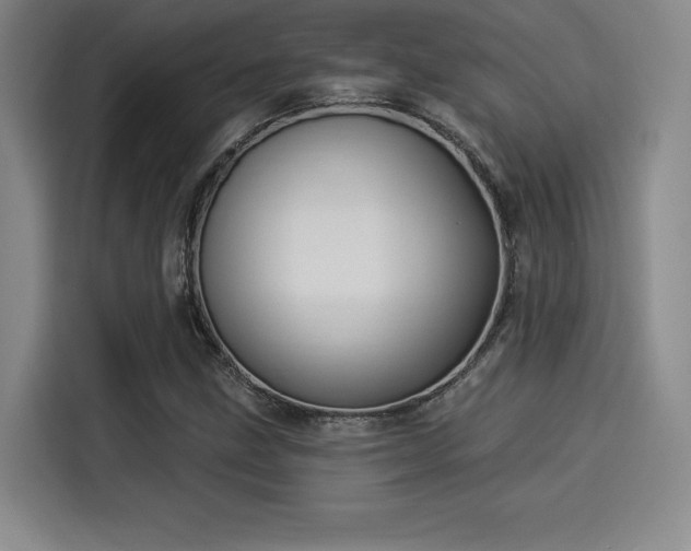 X0000114211211200910161240