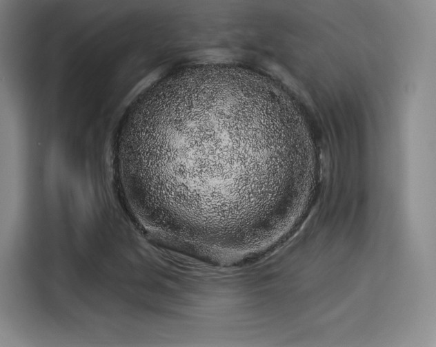 X0000114211213200910161241