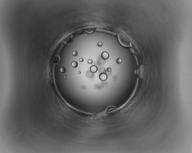 X0000114211215200910161241