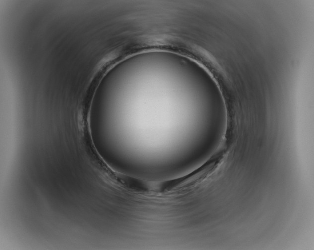 X0000114211218200910161241