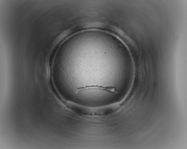 X0000114211221200910161241