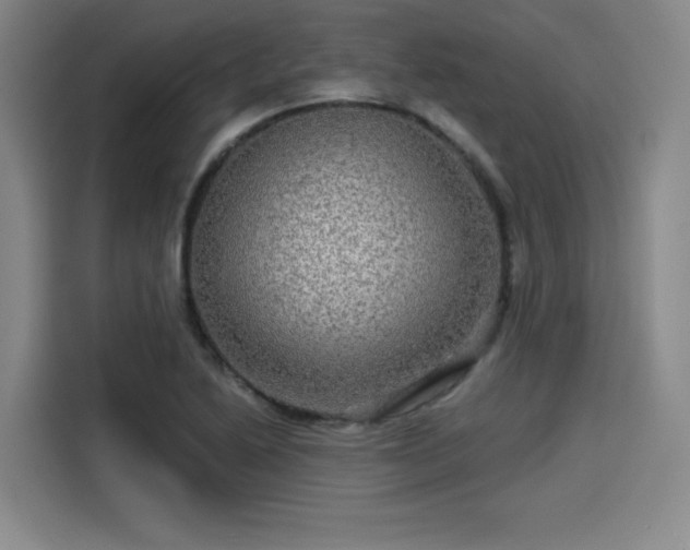 X0000114211222200910161241