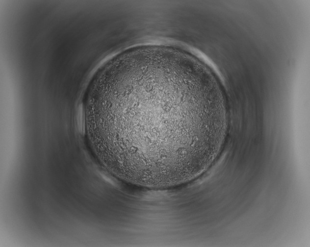 X0000114211223200910161241