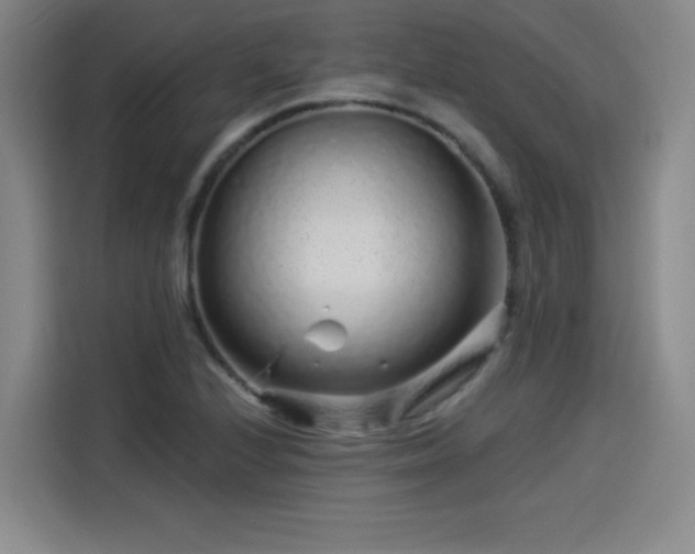 X0000114211224200910161241