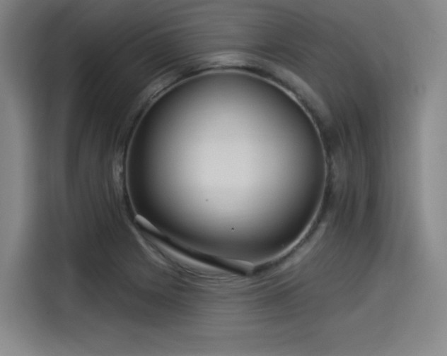 X0000114211225200910161241