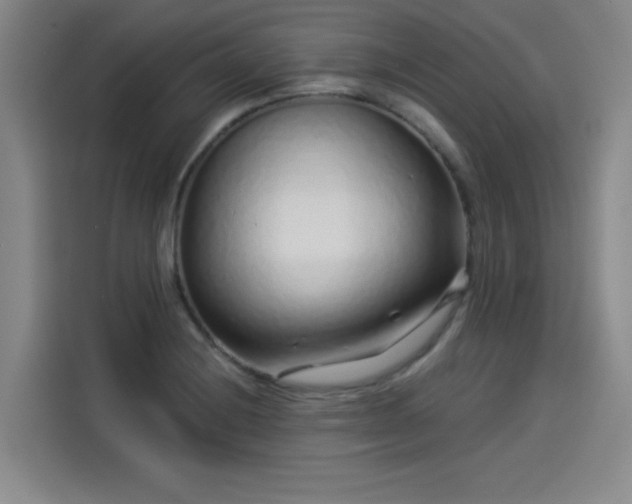 X0000114211228200910161241