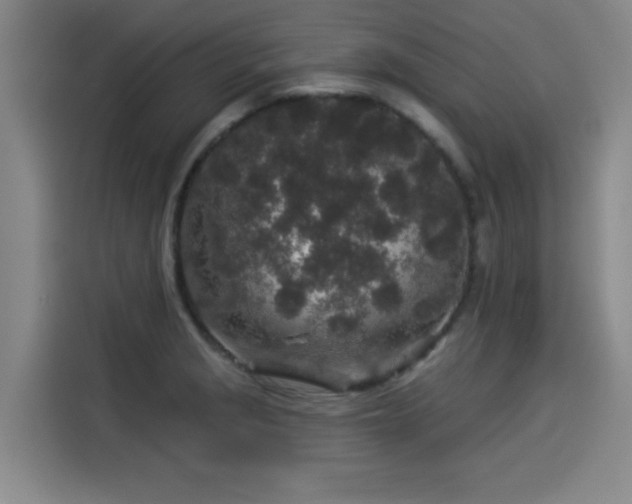 X0000114211229200910161241