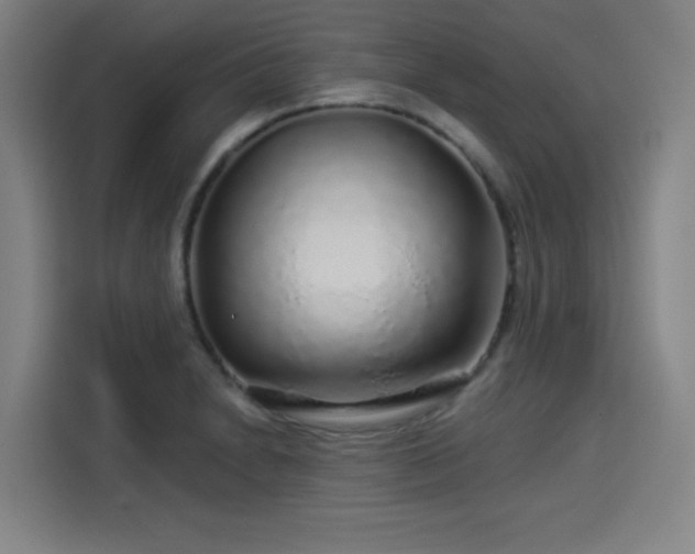 X0000114211230200910161241