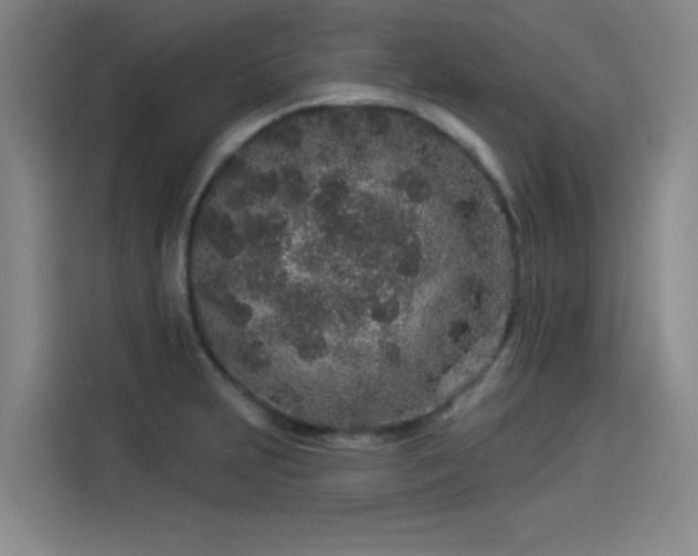 X0000114211231200910161241