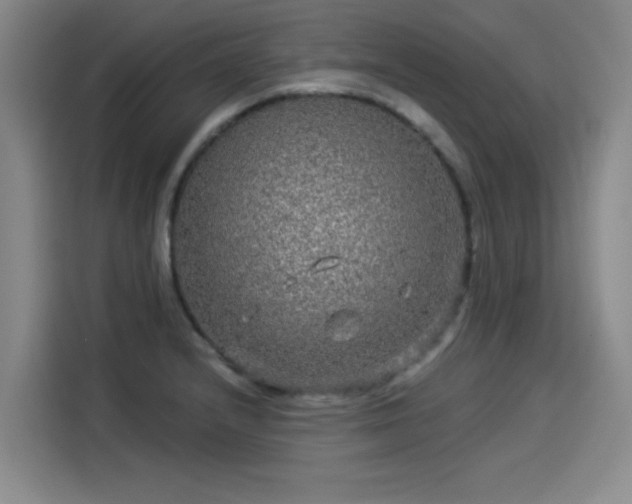 X0000114211232200910161241