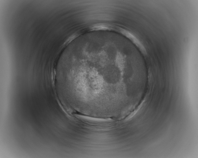 X0000114211233200910161241