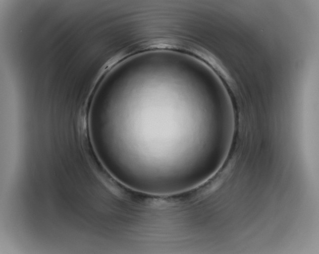 X0000114211234200910161241