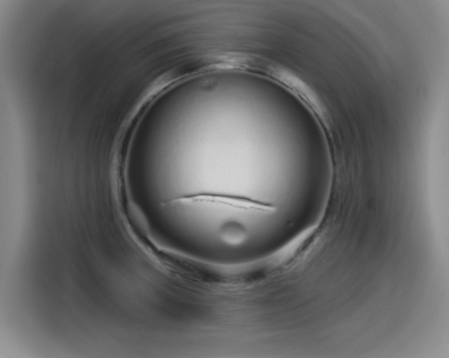 X0000114211235200910161241