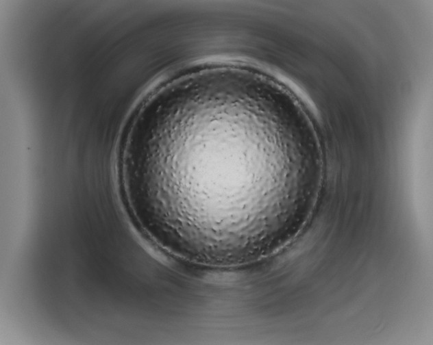X0000114211237200910161241