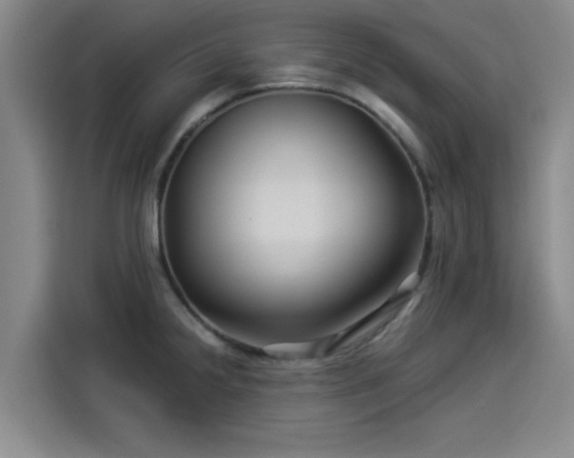 X0000114211238200910161241
