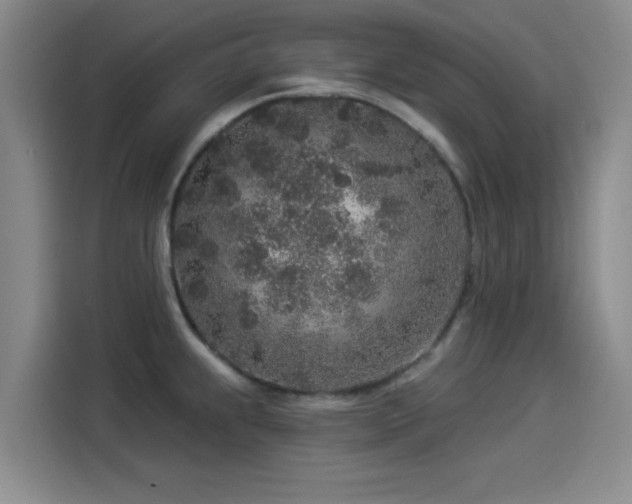 X0000114211239200910161241