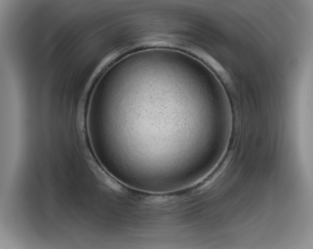 X0000114211240200910161241