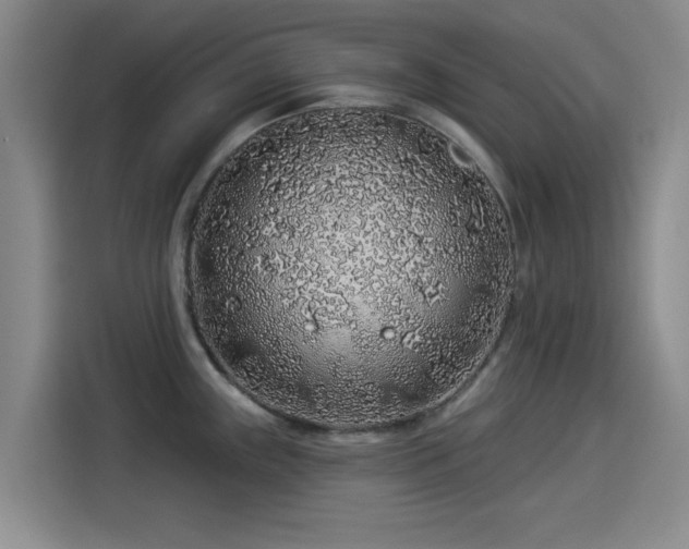 X0000114211243200910161241