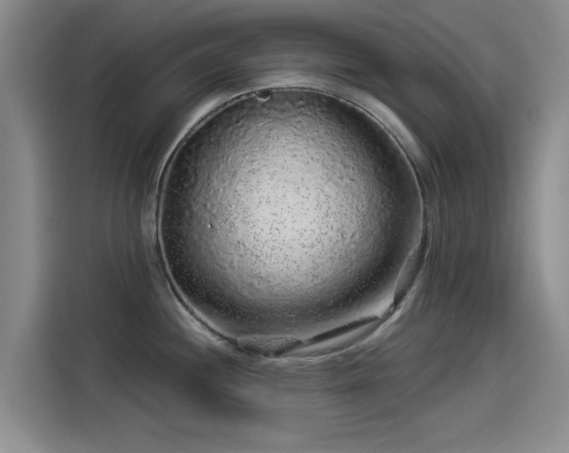 X0000114211244200910161241