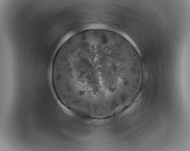 X0000114211245200910161241