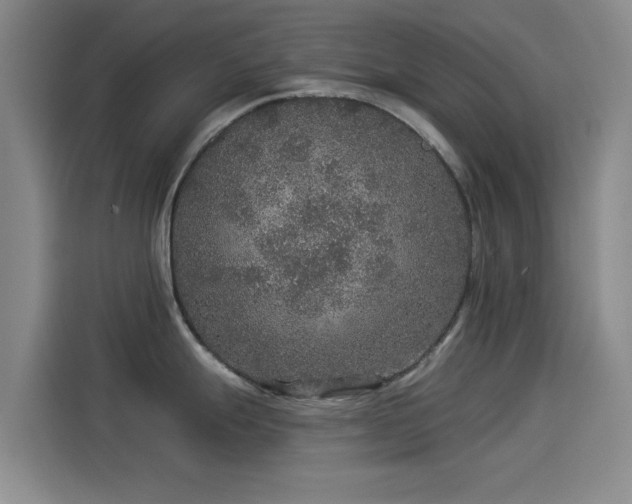 X0000114211247200910161241