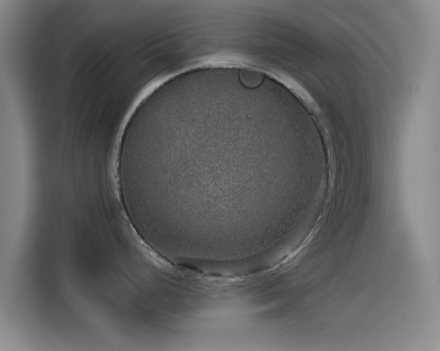 X0000114211248200910161241