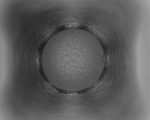 X0000114211250200910161240