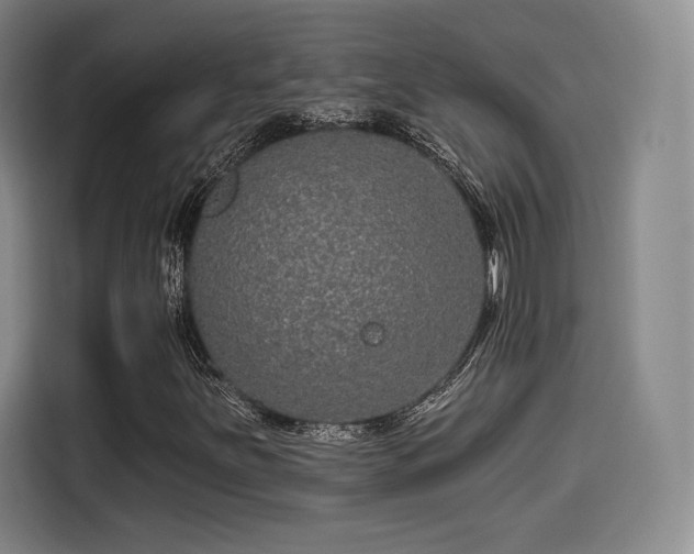 X0000114211251200910161240