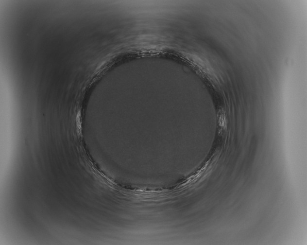 X0000114211252200910161240