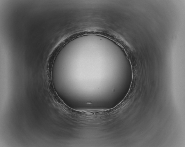 X0000114211256200910161240