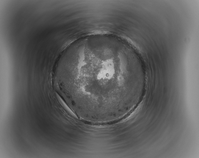 X0000114211257200910161240