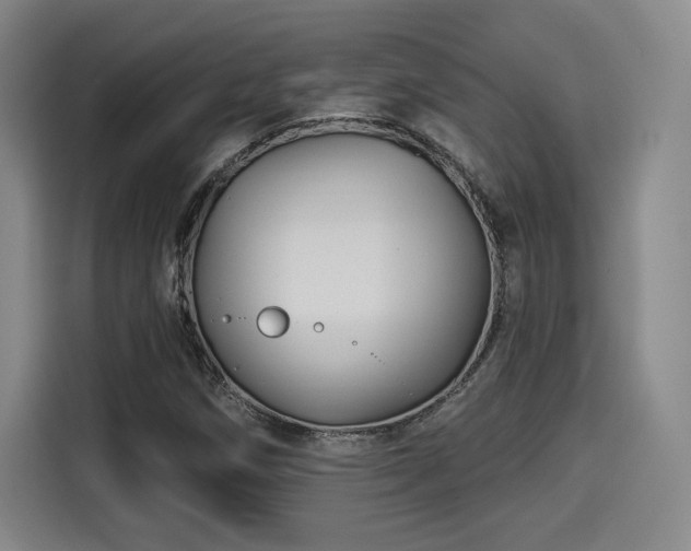 X0000114211258200910161240