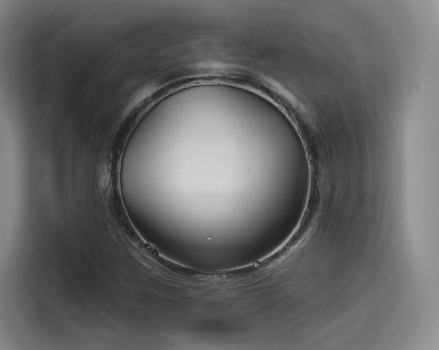 X0000114211259200910161240