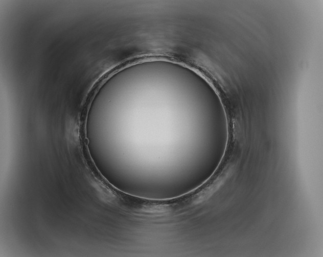 X0000114211260200910161240