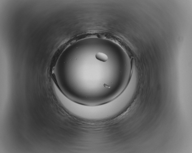 X0000114211261200910161240