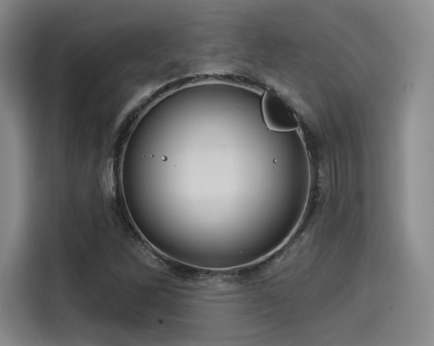X0000114211262200910161240
