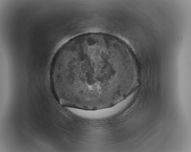 X0000114211263200910161240