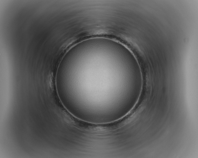 X0000114211265200910161240