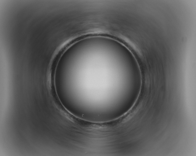 X0000114211270200910161240